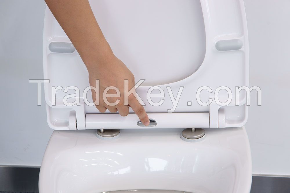 2016 New Soft close Urea toilet seat based on D shape Slimiline Wrap-over design