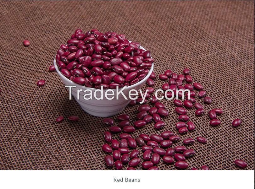 beans from Kyrgyzstan