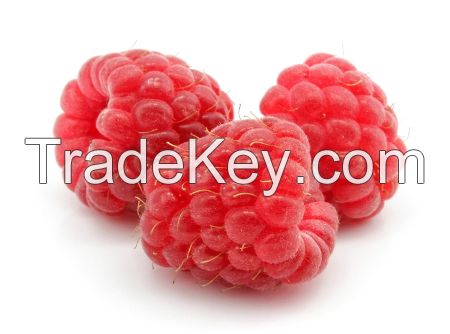 Strawberry, Sour Cherry, Cherry, Raspberry, Blackberry, Fig, Chestnuts, Apricot