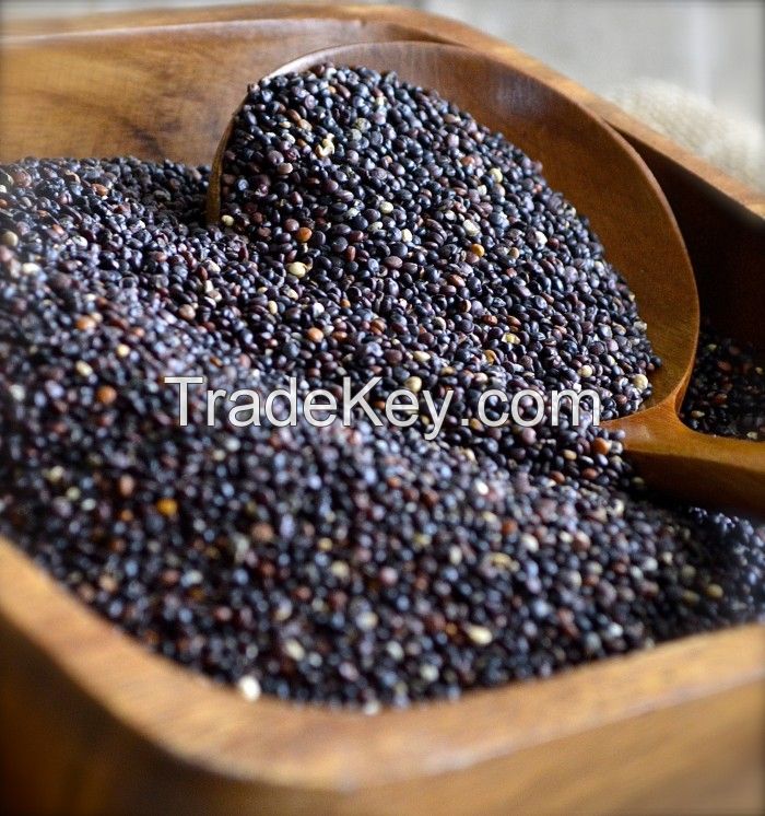 Black Quinoa Grain - 40Kg Bulk