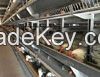 poultry cage manufacturers_shandong tobetter one and the only one
