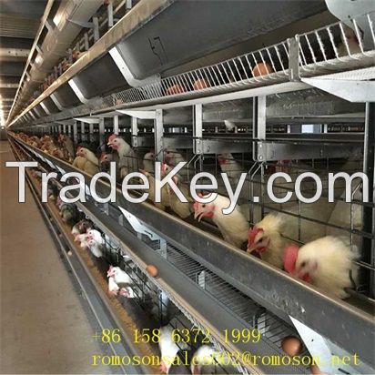 chicken cages for cheap rate_shandong tobetter the price is low