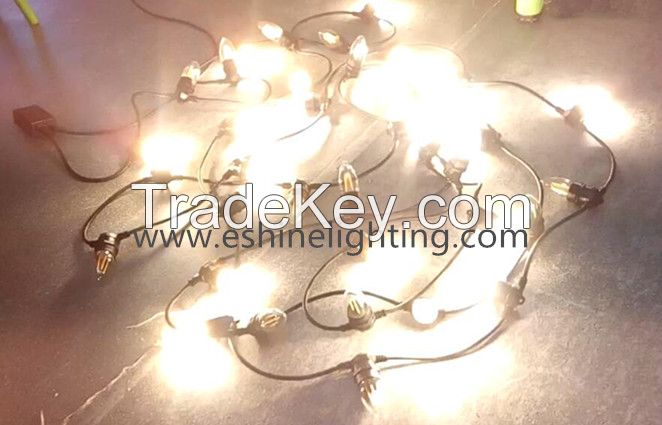 LED String Lights- equipped with led filament bulbs