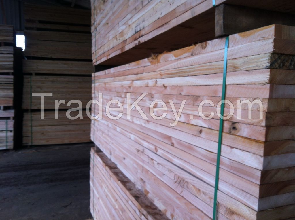 Teak wood, Eucalyptus, Pinus 