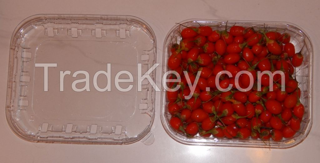 Fresh Organic Goji Berries