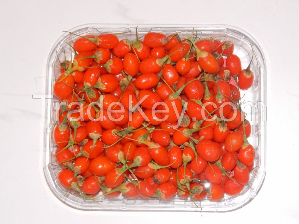 Fresh Organic Goji Berries
