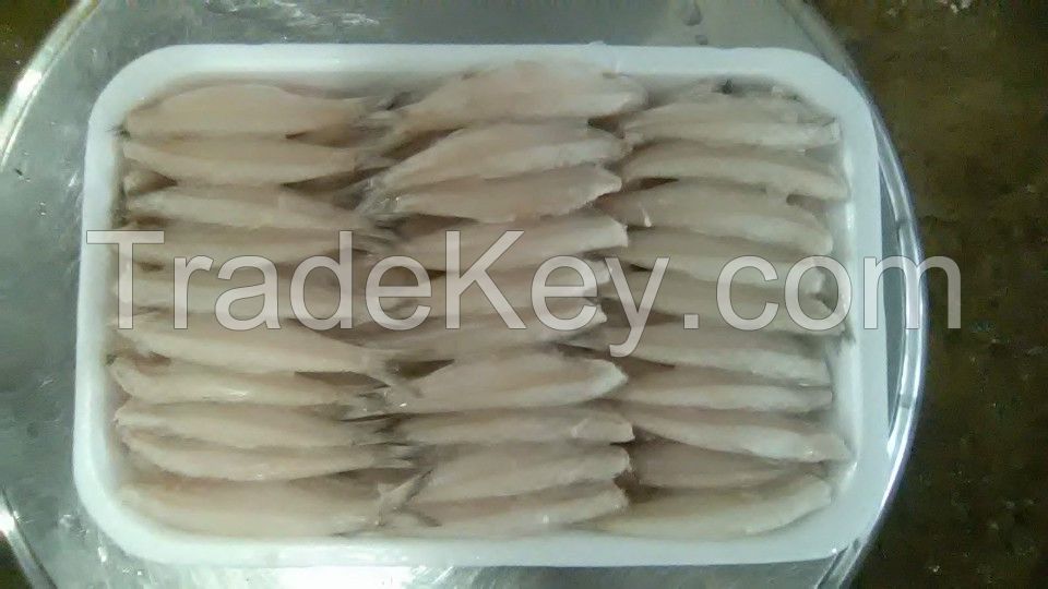 Frozen anchovy fish