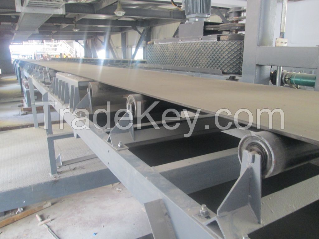 Fixed Belt Conveyor