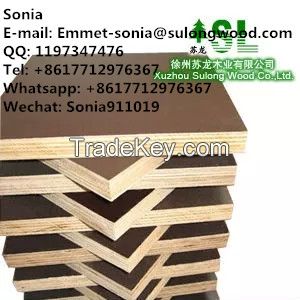 Poplar Plywood for Modular Formwork