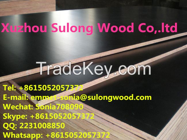 Coated Film Faced Plywood Boards