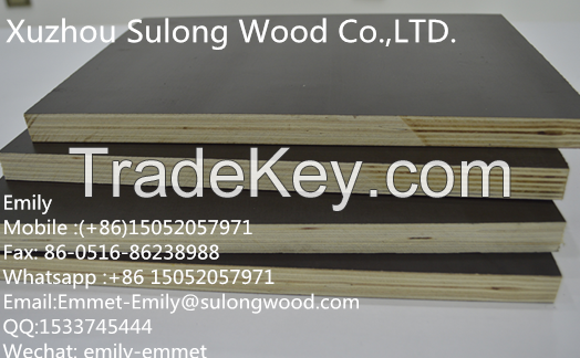 black or brown Film Faced Plywood for construction with logo for sale