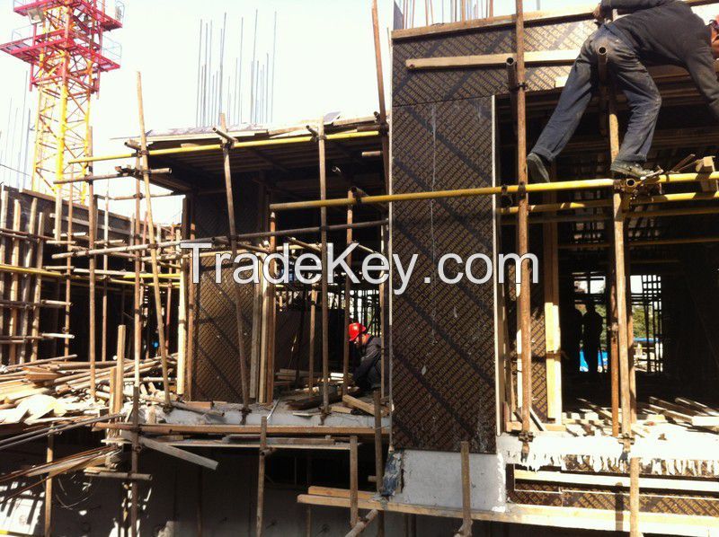 18mm Marine Plywood from Direct Manufacture 