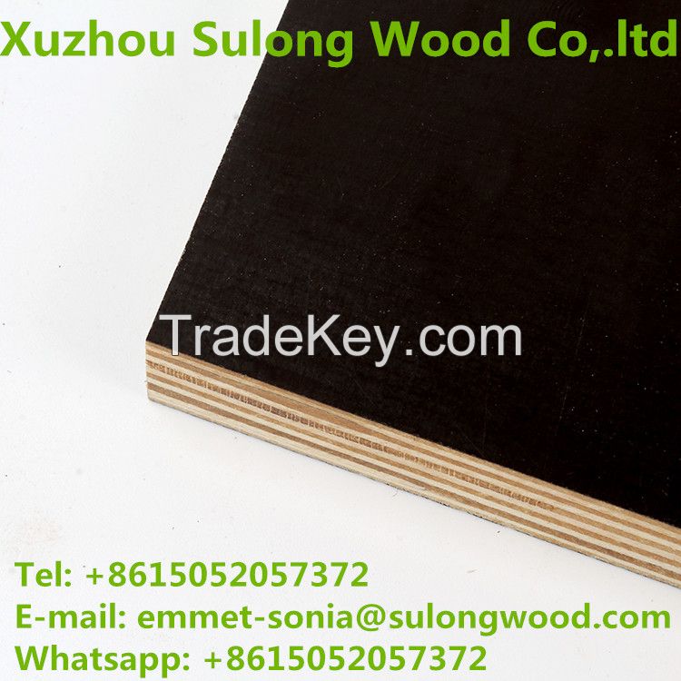 Stock Film Faced Plywood for Big Sale with Special Price 