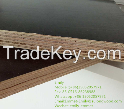 birch core film faced plywood for construction
