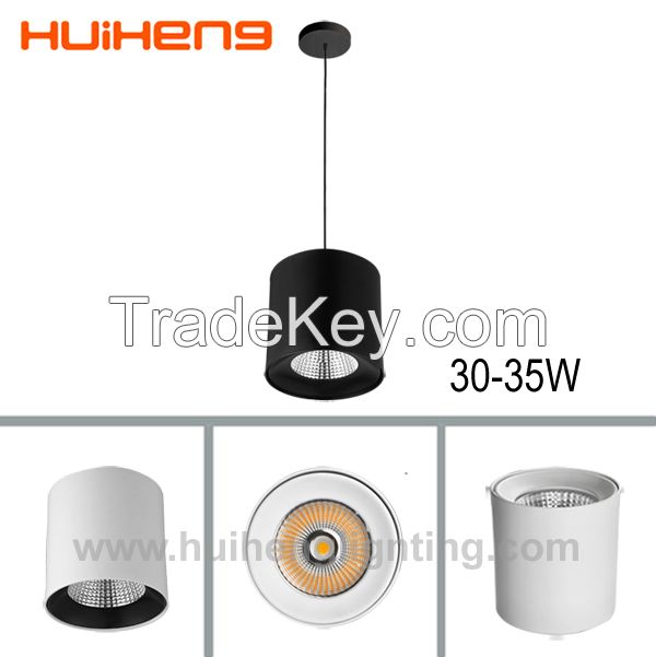 LED Down Light