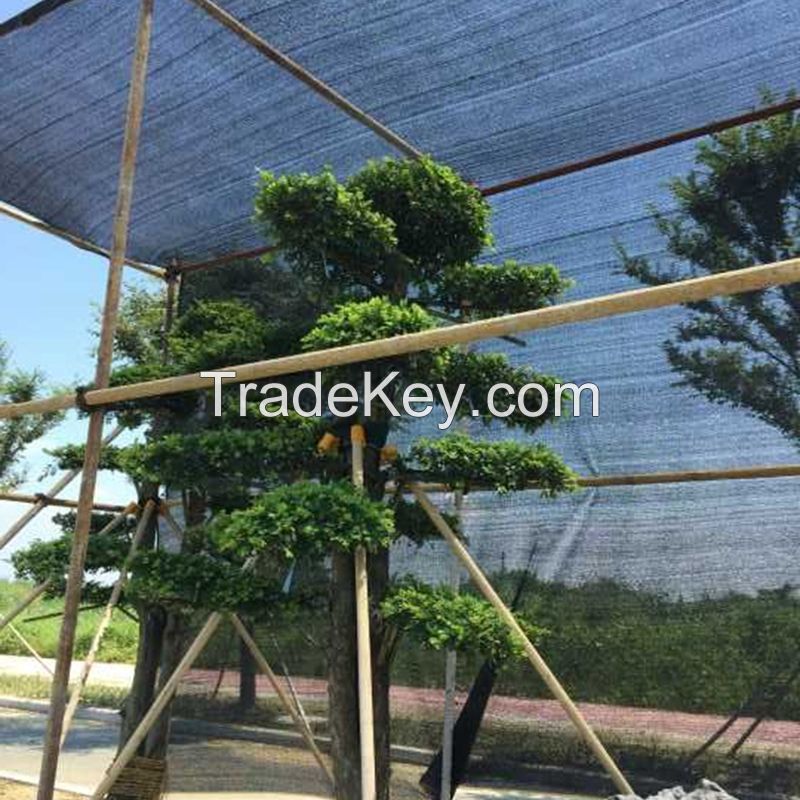 Black Sun Shade Netting