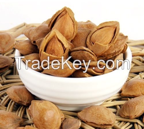 Apricot Kernels and Apricot Kernels Shell