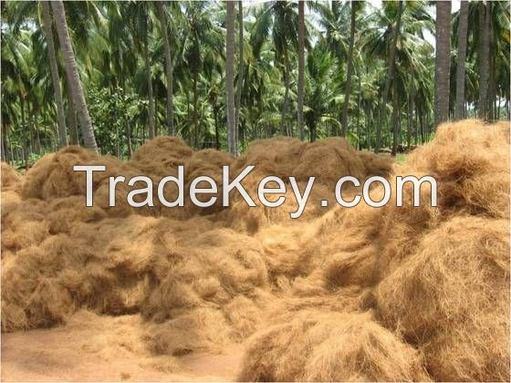 Coconut Fiber