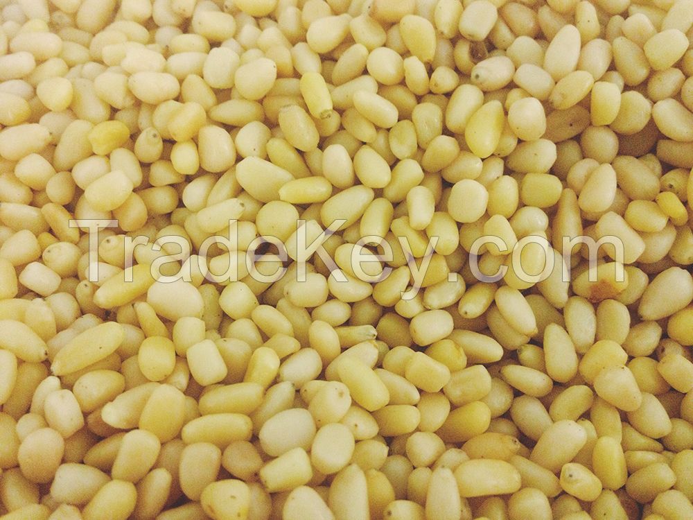 Peeled pine nuts, kernel