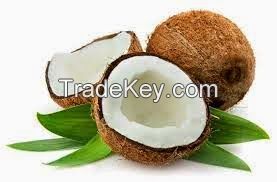 Fresh Mature Coconut