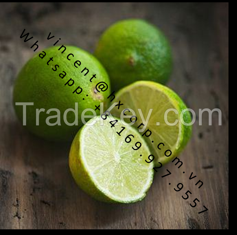 Fresh Seedless limes high Vitamin C from Vietnam (whats app:+84169 927 9557)