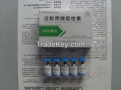 HCG  Human Chorionic Gonadotropin