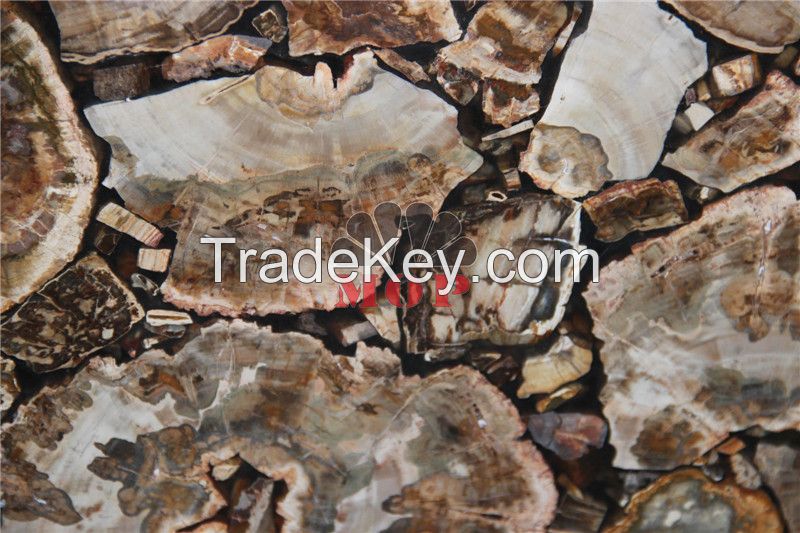 Stone slab petrified wood table sheet