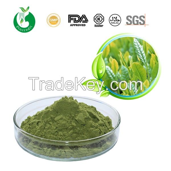 Green Tea Extract