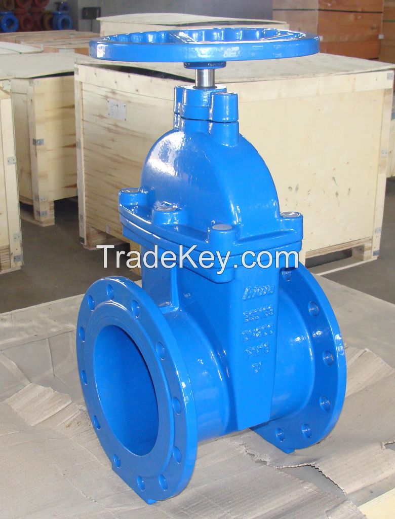 BS5163 NON-RISING STEM RESILIENT SEATED GATE VALVE