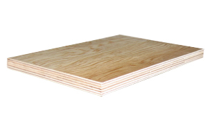 Sell Pine Plywood