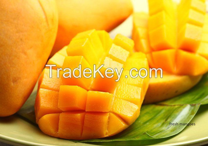 Vietnam fresh mango