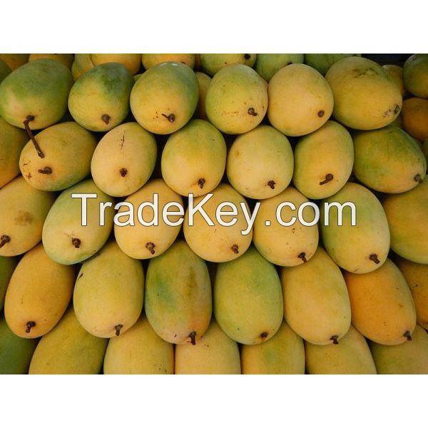 Vietnam fresh mango