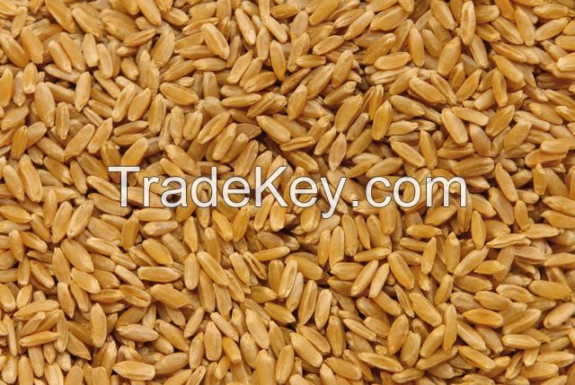 Wheat