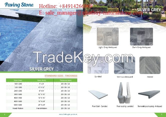 Silver Grey Marble paver