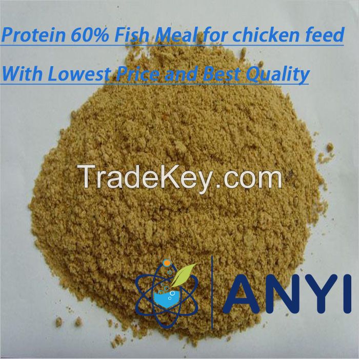 Steam Dried Fish Meal for Chicken Feed (60% protein)