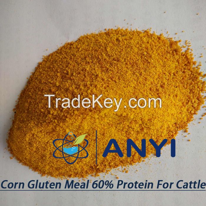 Powdery corn gluten meal instead in fish meal