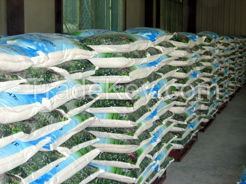 Supply floating catfish feed with high protein and best quality