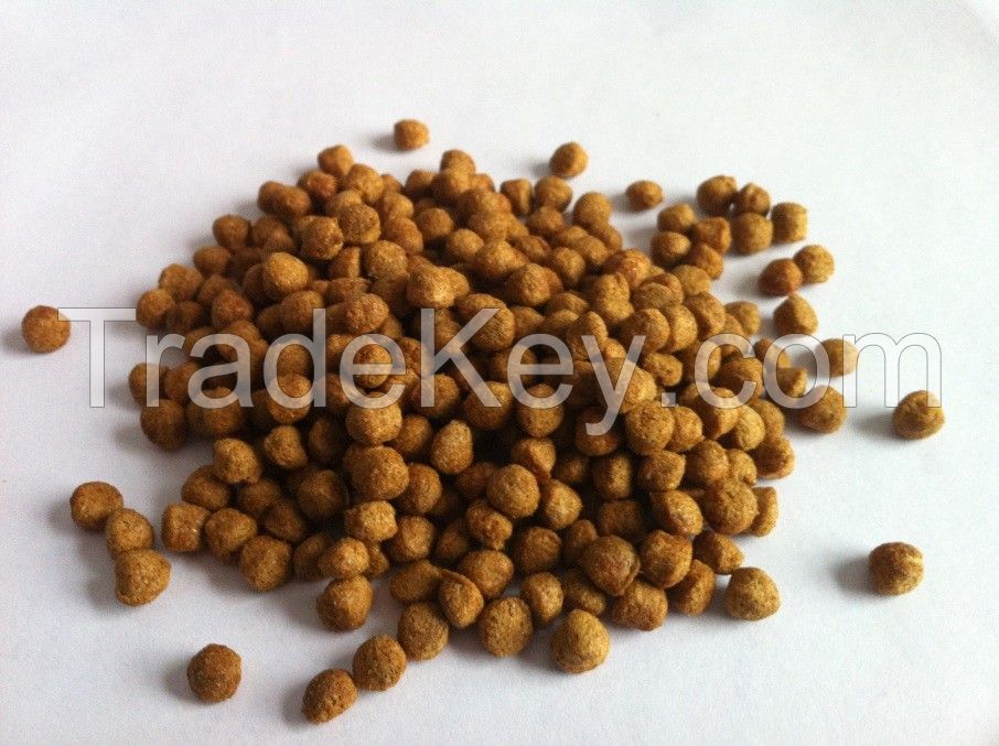 Supply floating catfish feed with high protein and best quality