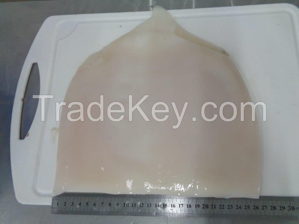 FROZEN GIANT SQUID FILLETS 0-2Kg