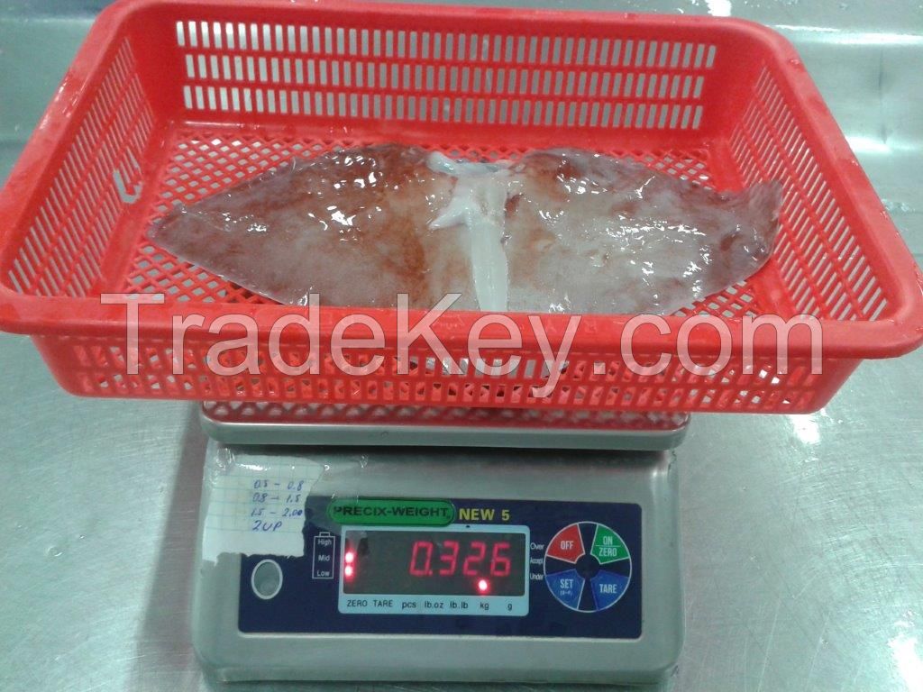 FROZEN GIANT SQUID WINGS 0-1Kg