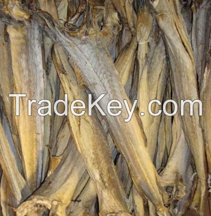 Dried Stock Fish