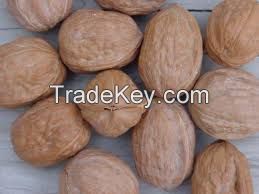 Walnut Kernel