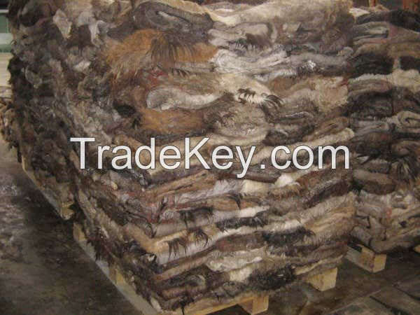 Wet Salted Donkey Hides,Cow Skins and Pickled Sheep Skins,