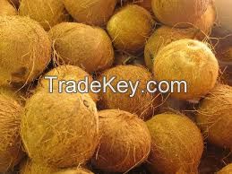 fresh mature coconut for sale
