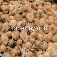 Good Price Fresh Coconut for Export / Fresh Young Coconut Meat