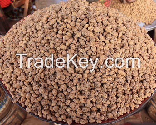 High Quality Tiger nuts