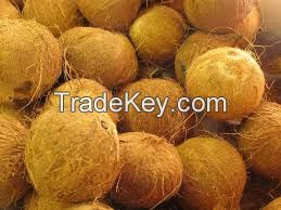 fresh mature coconut for sale 