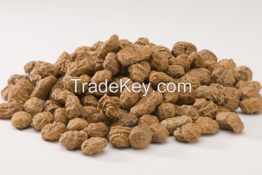 High Quality Tiger nuts
