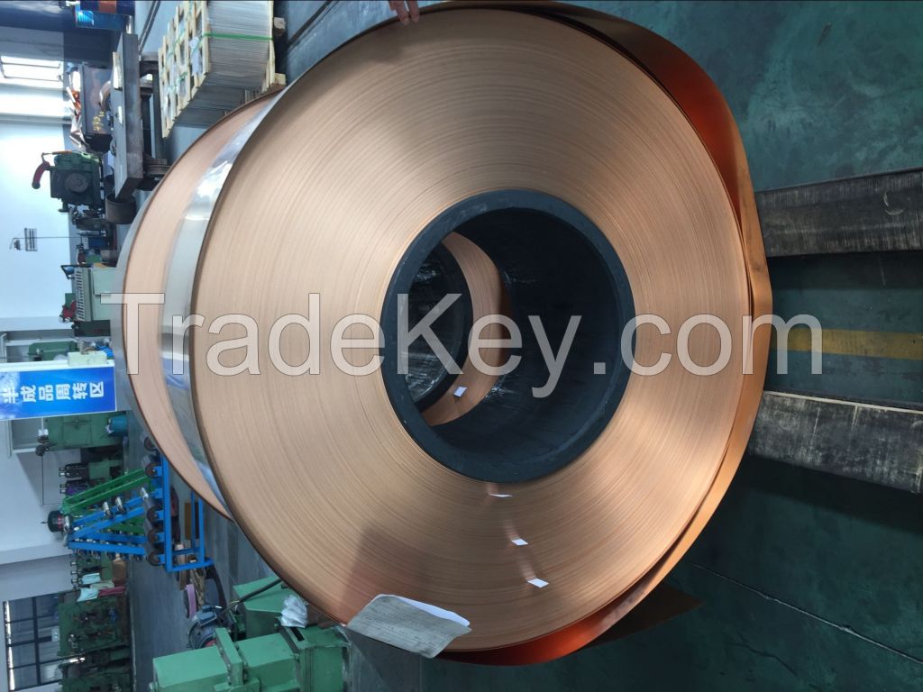 Phosphor Bronze Strip 