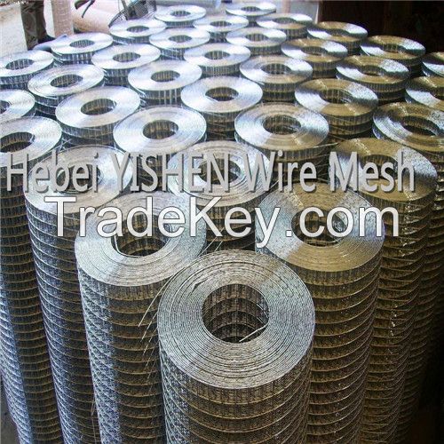 1/2 inch pvc coated welded wire mesh